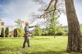 Best Tree Trimming and Pruning  in Tucker, GA