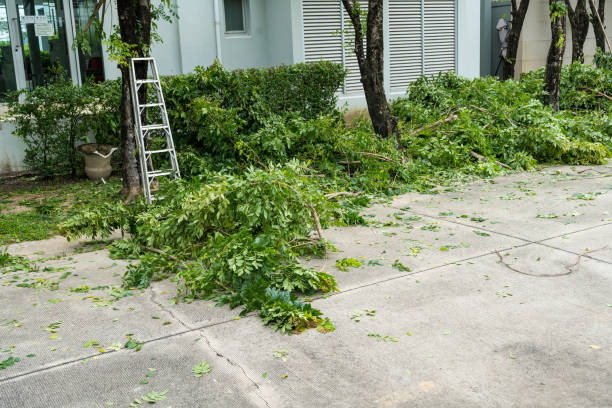 Best Leaf Removal  in Tucker, GA